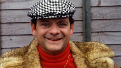 Photo of ONLY FOOLS AND POOCHES Only Fools and Horses superfan names EIGHT pooches after show’s Characters