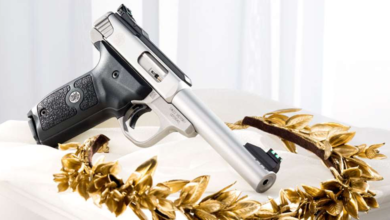 Photo of Smith & Wesson SW22 Victory Pistol